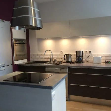L'Oddo De Gissey Apartamento Le Puy-en-Velay Exterior foto